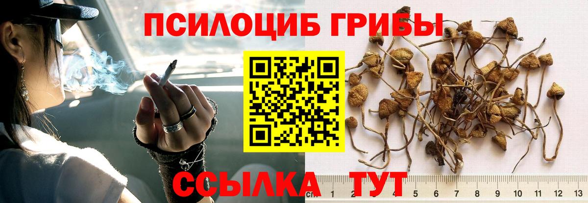 Галлюциногенные грибы Magic Shrooms Советск